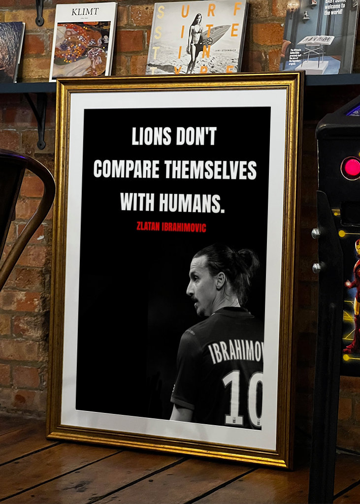 Zlatan Ibrahimovic Zitate