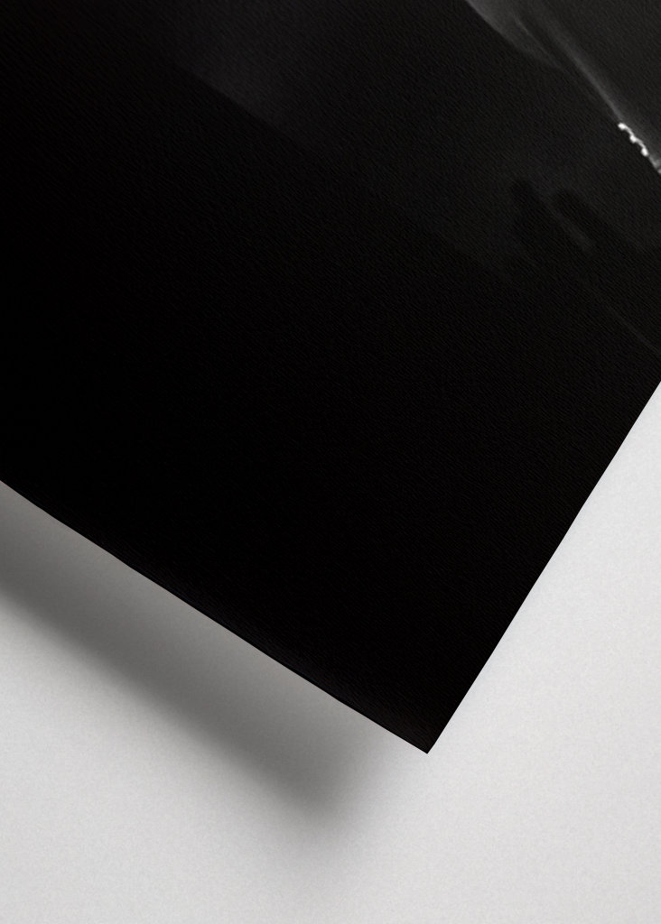 Zlatan Ibrahimovic Zitate