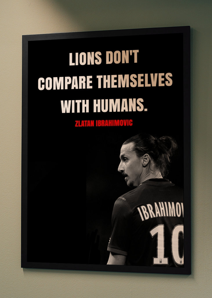 Zlatan Ibrahimovic Zitate