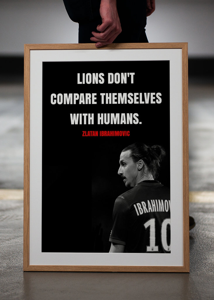 Zlatan Ibrahimovic Zitate