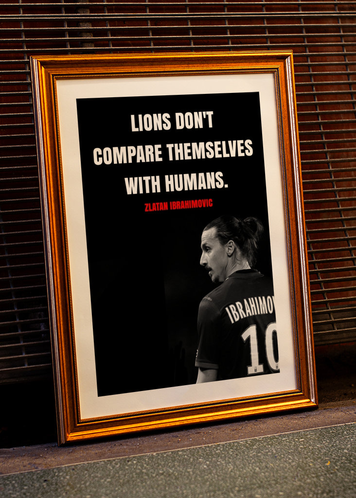 Zlatan Ibrahimovic Zitate