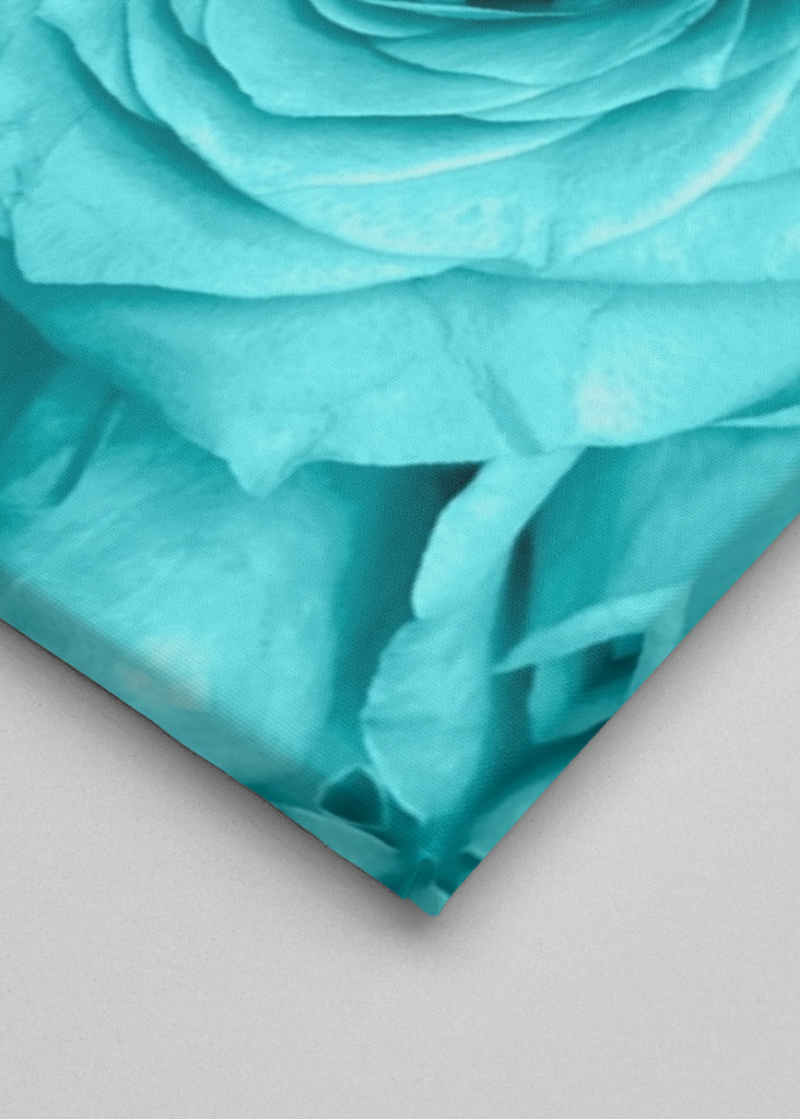 Floral - Blue Rose Love