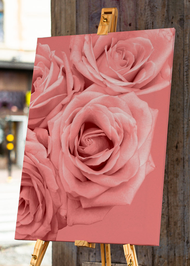 Floral - Rosa Rosa Amor