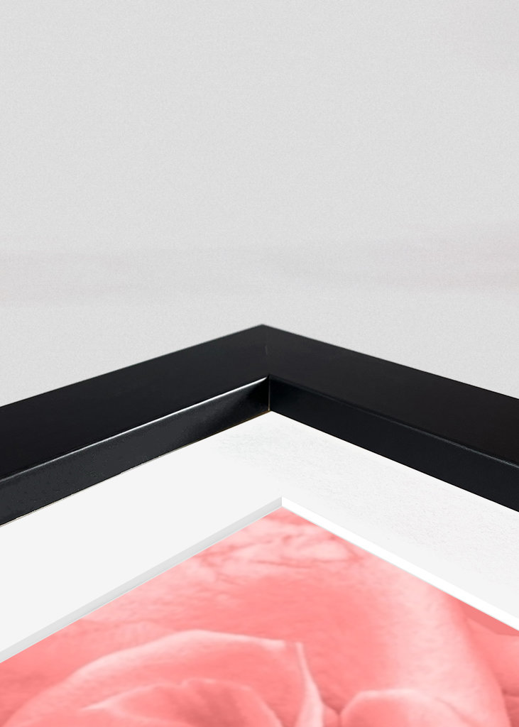 Floral - Rosa Rosa Amor