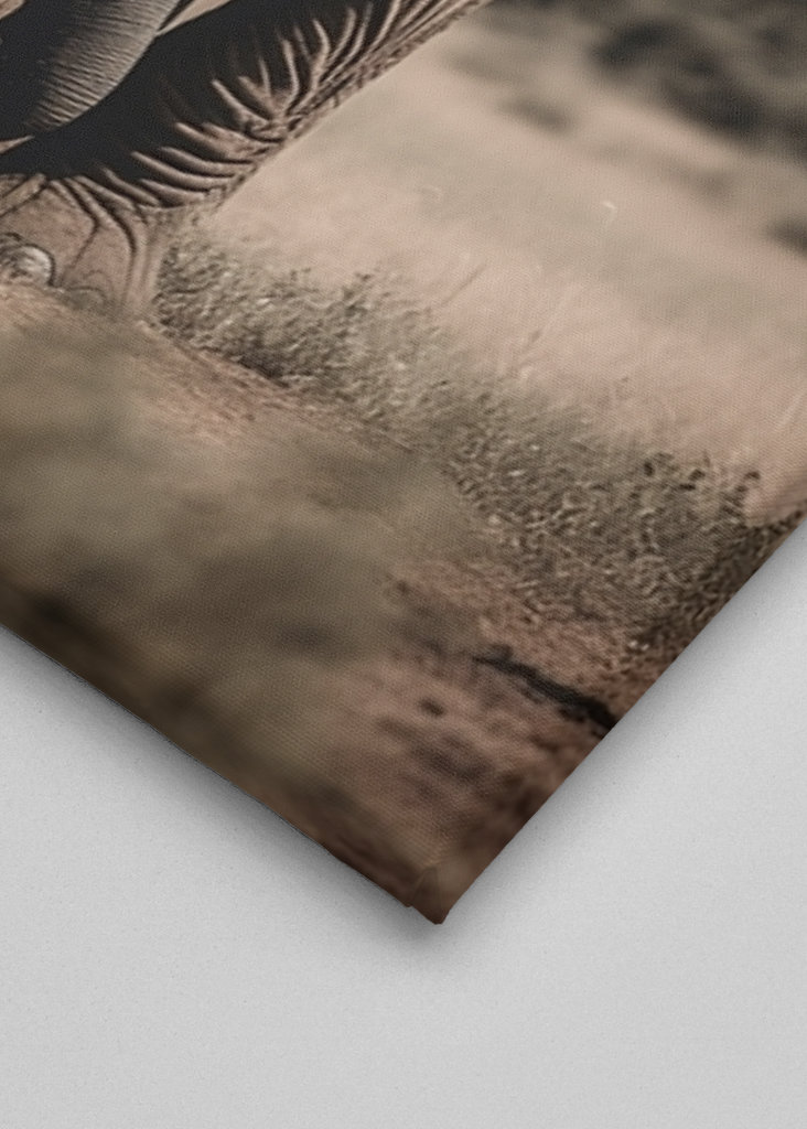 Elephant in the Savanna