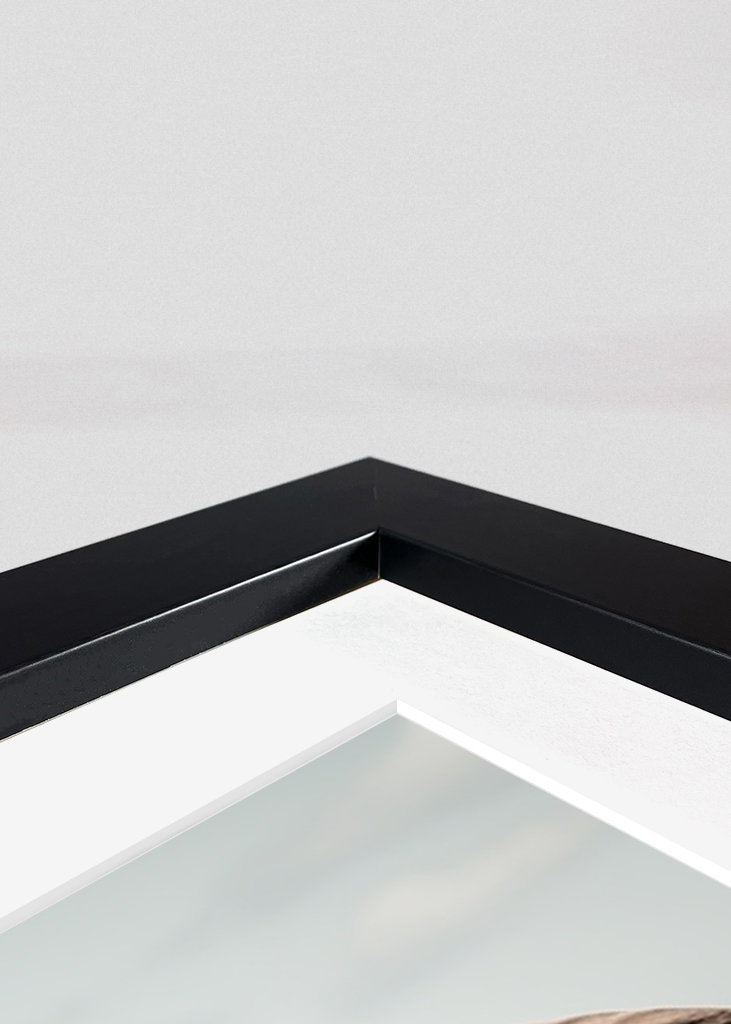 Elephant in the Savanna