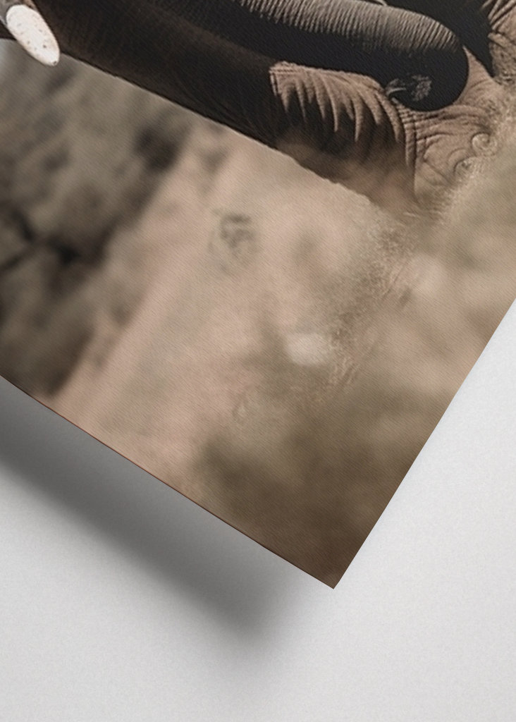 Elephant in the Savanna