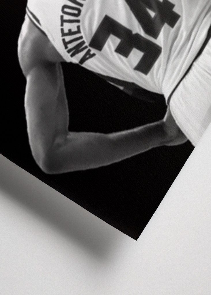 Giannis Antetokounmpo Quotes