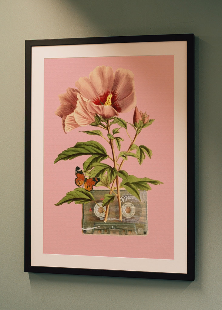 Colla z kasetą kwiatową i kasetową