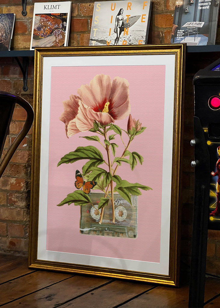 Colla z kasetą kwiatową i kasetową