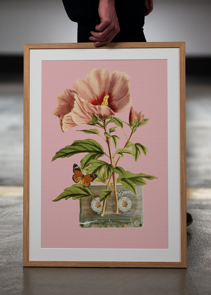 Colla z kasetą kwiatową i kasetową