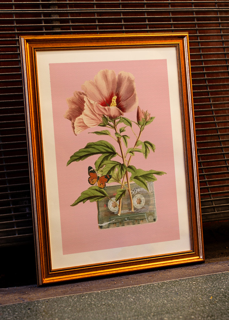 Colla z kasetą kwiatową i kasetową