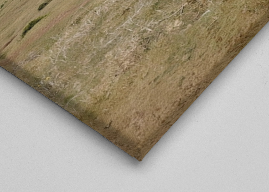 La nebbia sta arrivando