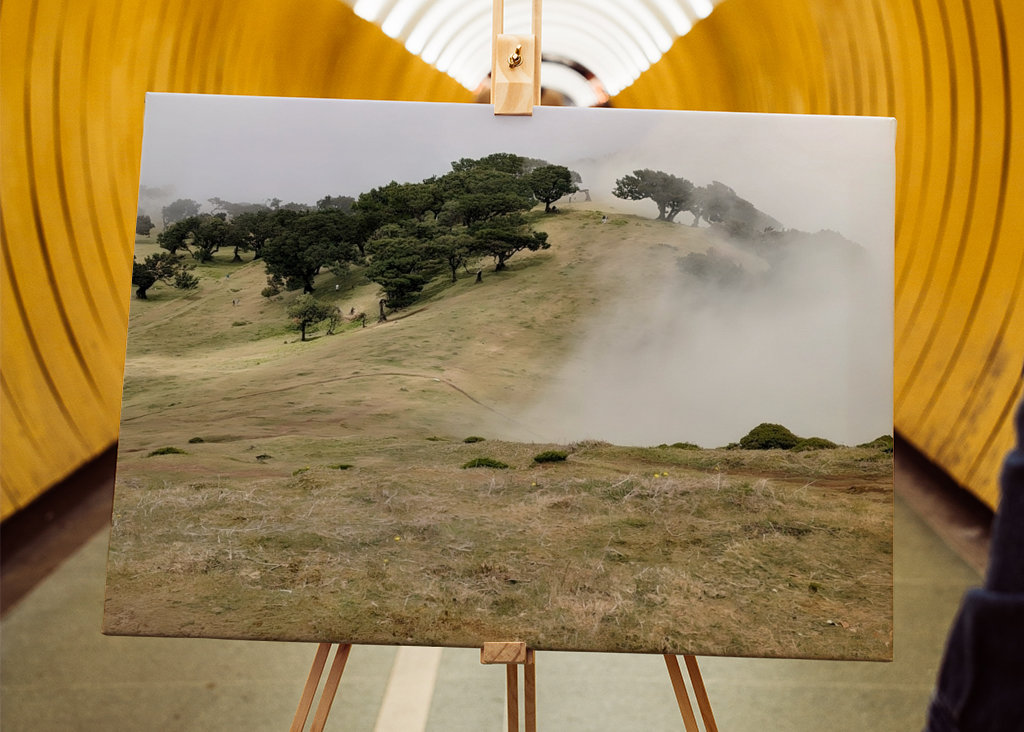 La nebbia sta arrivando