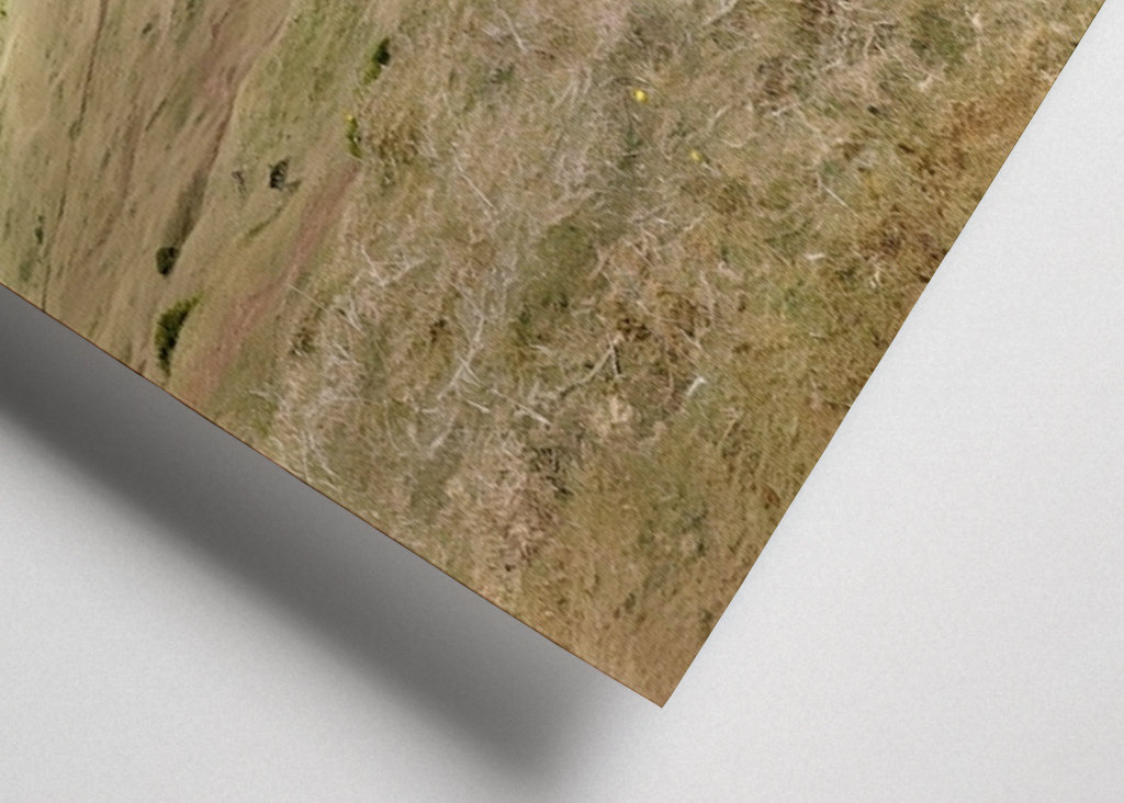 La nebbia sta arrivando