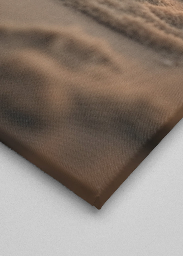 Baby skilpadde på stranden