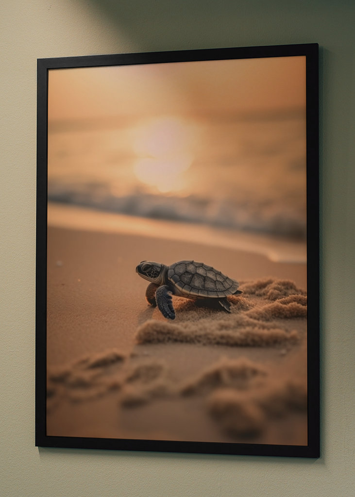 Baby skilpadde på stranden