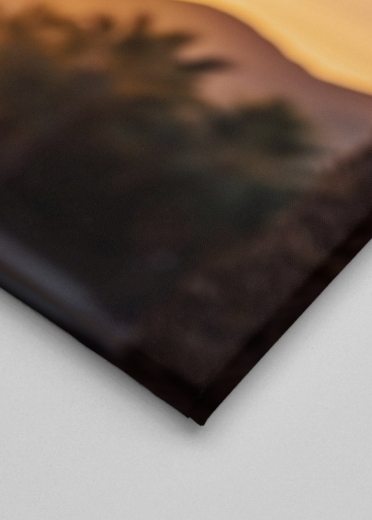 Basket-ball à Palm Springs