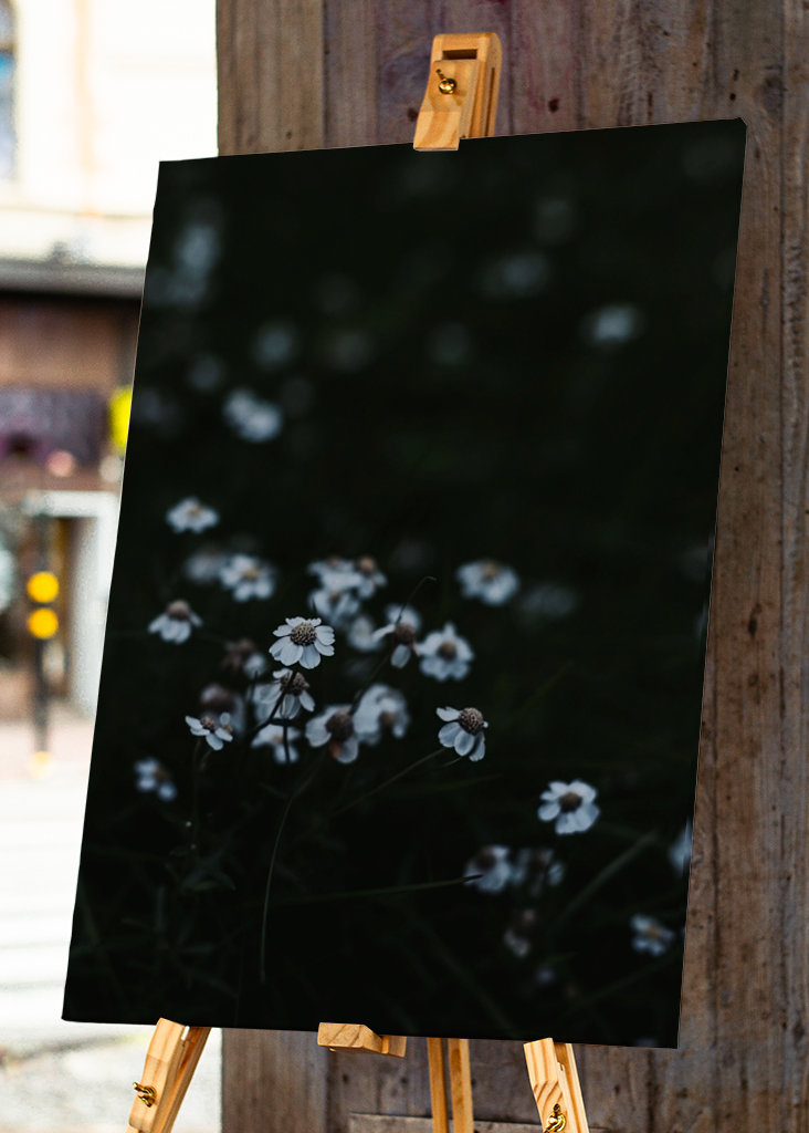 Piccolo fiore bianco estivo. 