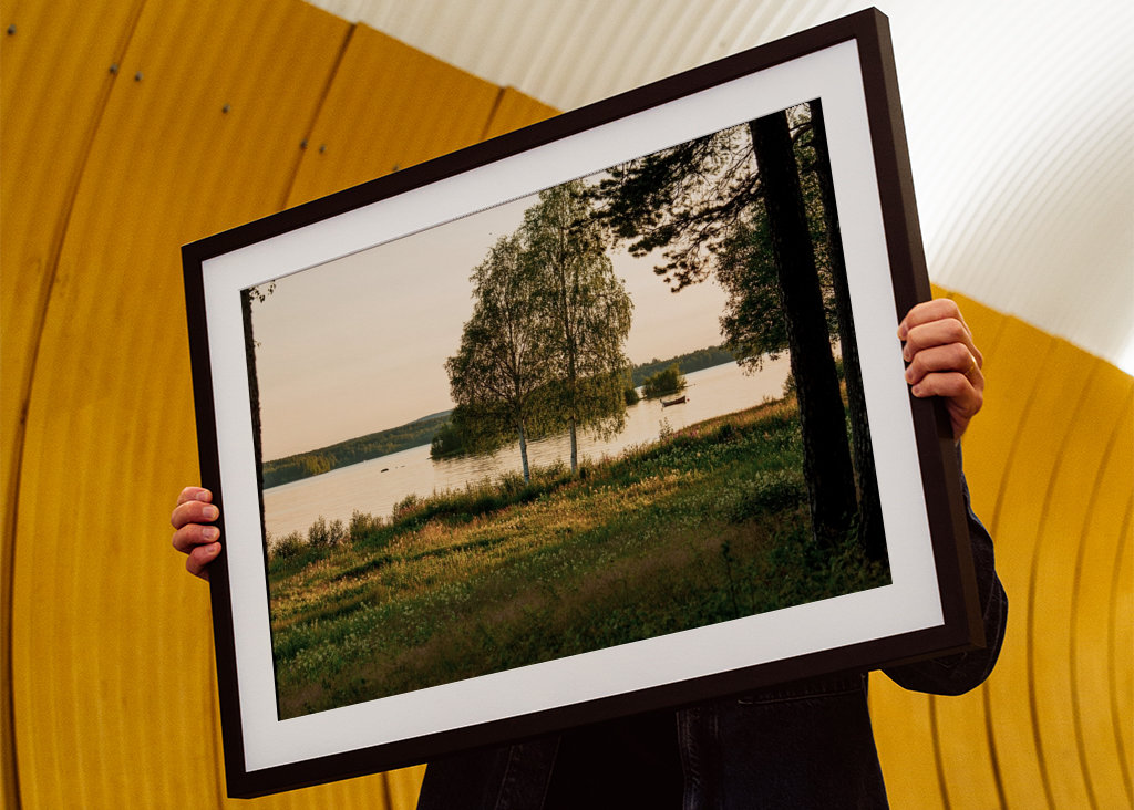 Birches by the river