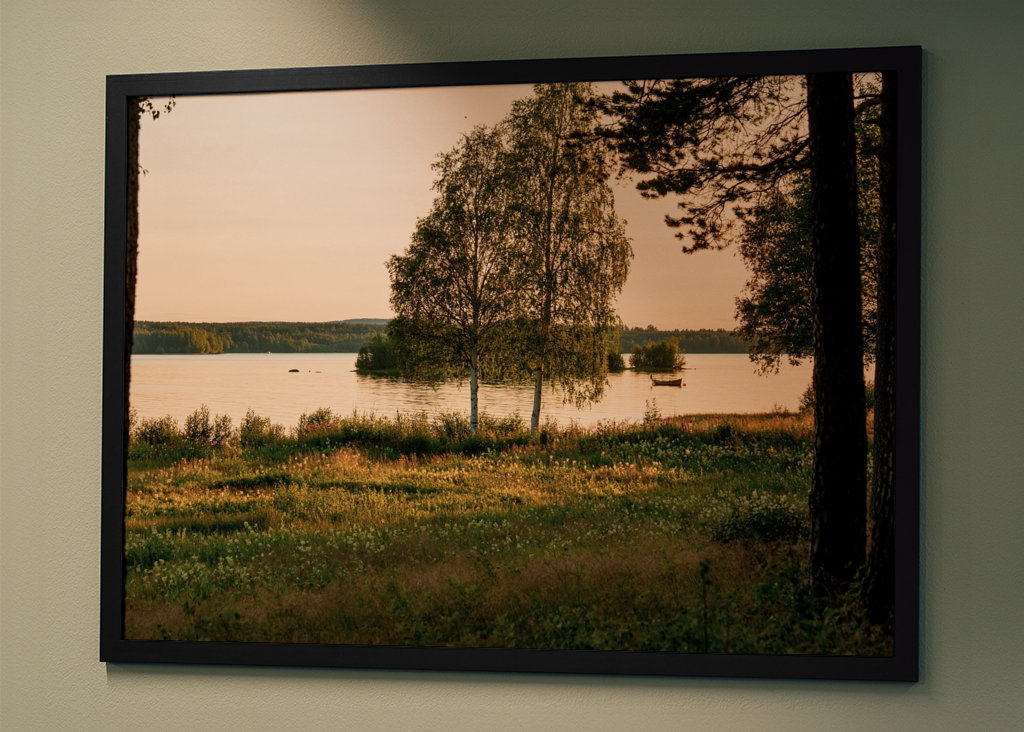 Birches by the river