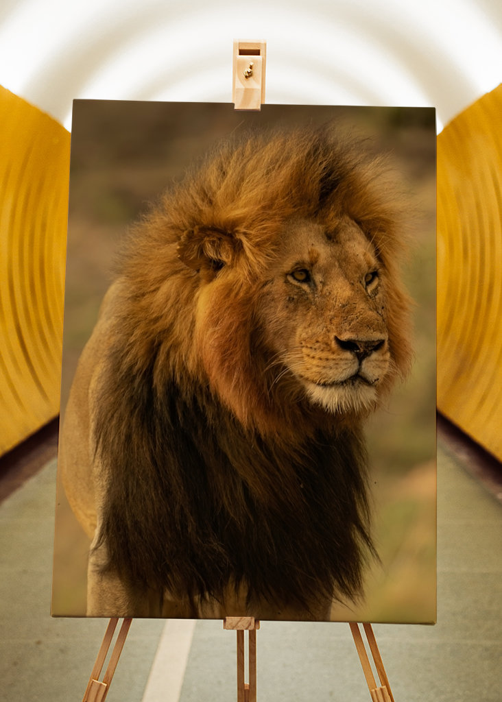 The African Lion posters & prints by Victor Göransson - Printler