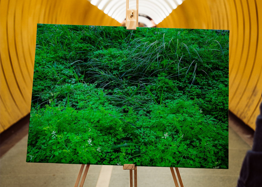 Vernachlässigter/natürlicher Garten