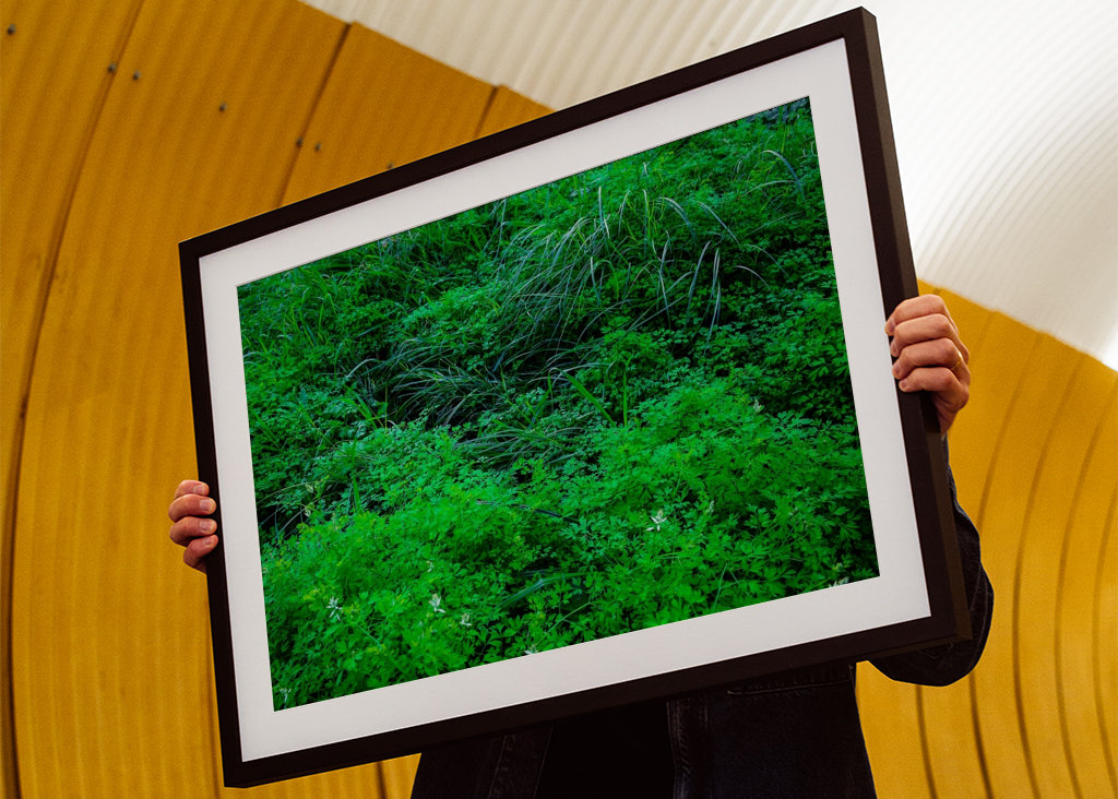 Vernachlässigter/natürlicher Garten