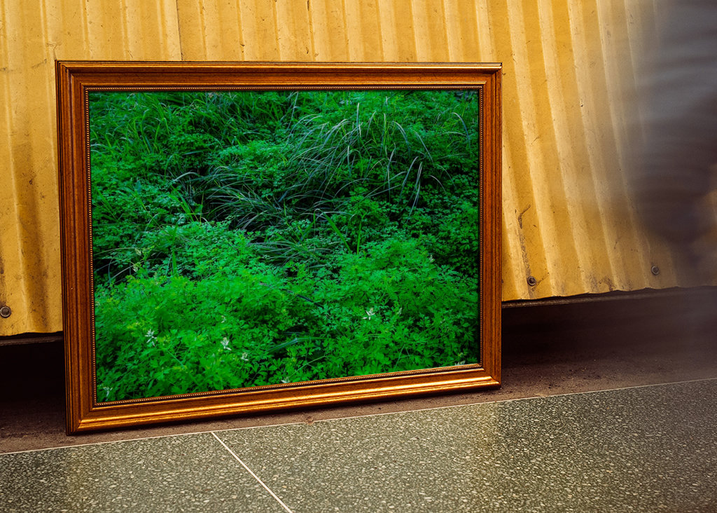 Vernachlässigter/natürlicher Garten