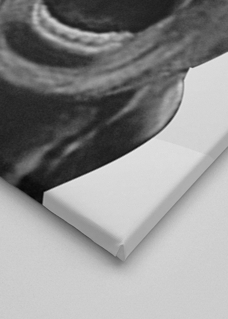 Rafael Nadal Potrait