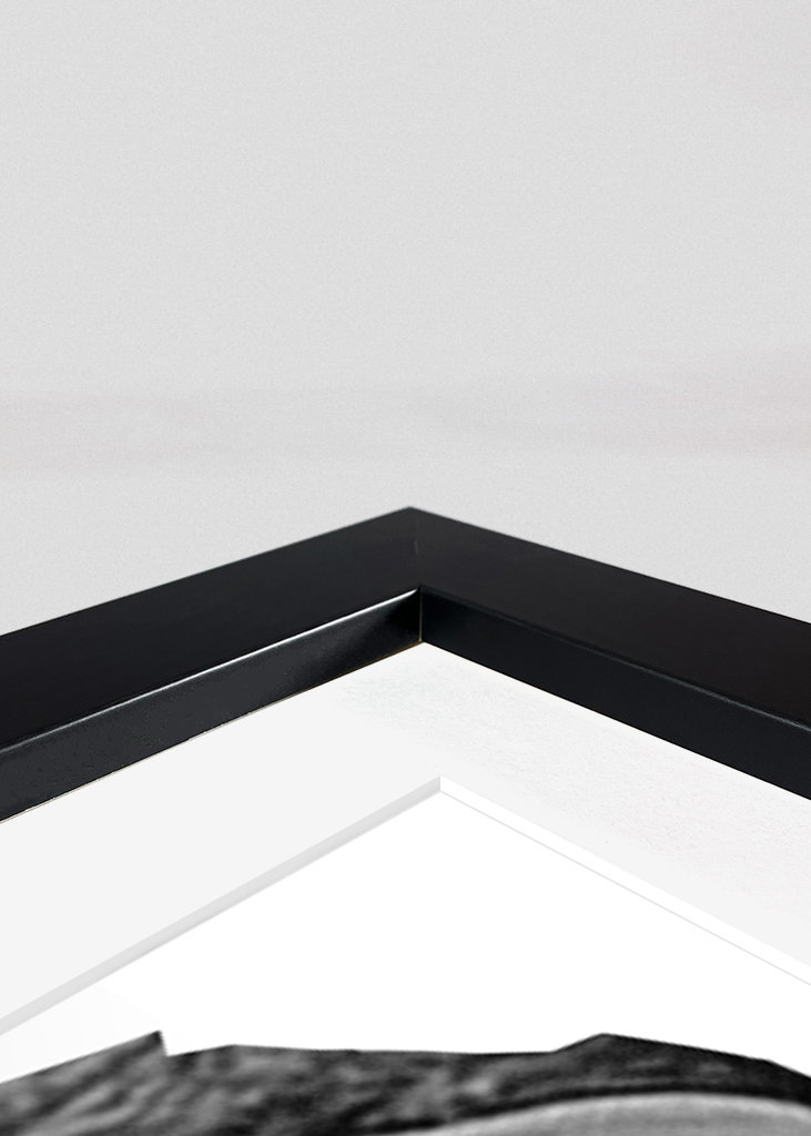 Rafael Nadal Potrait