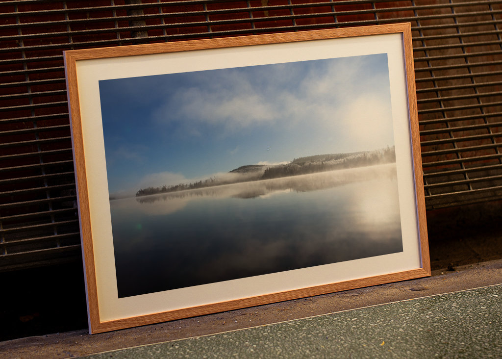 Tåge over klippeungen