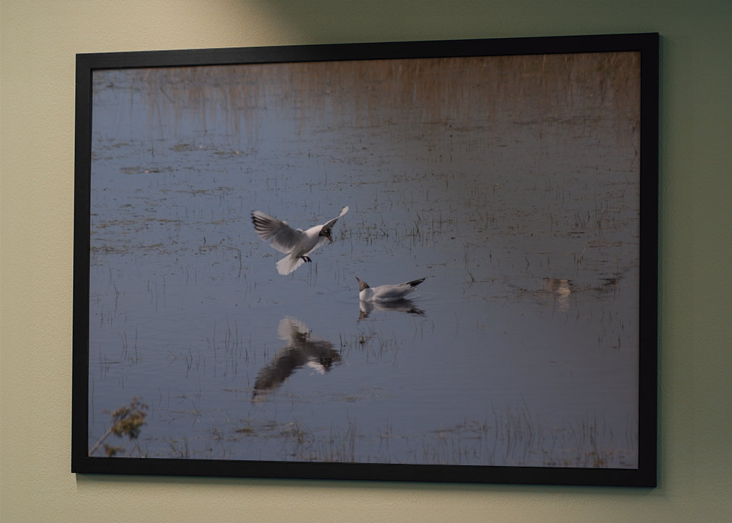 ¿Encaja esto en nuestro nido?