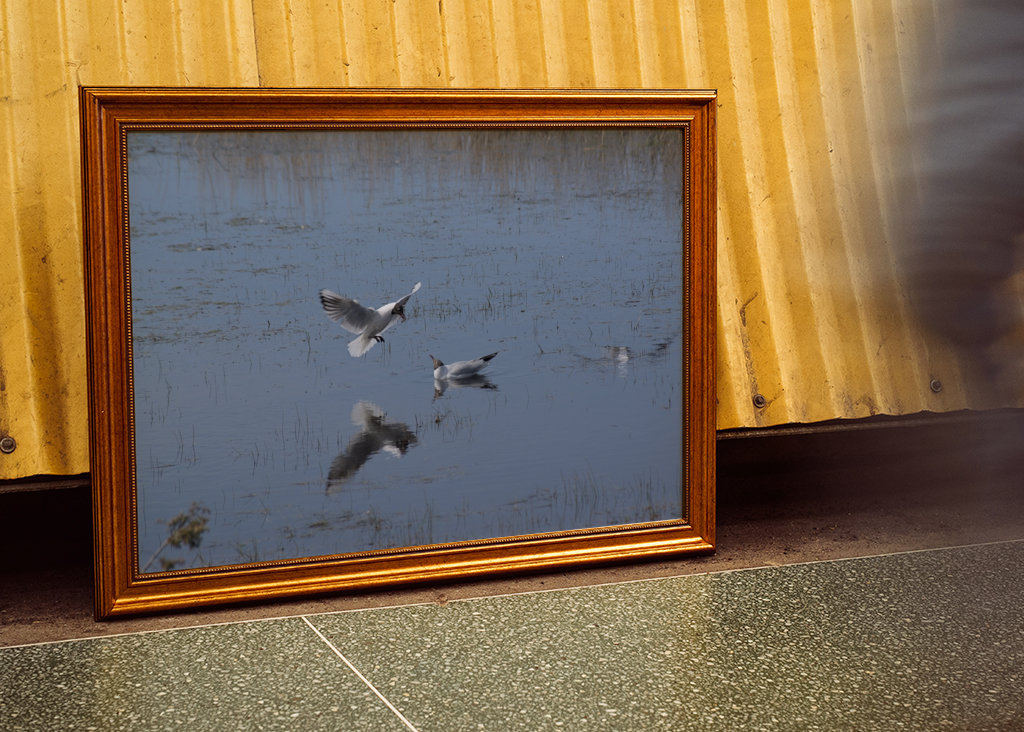 ¿Encaja esto en nuestro nido?