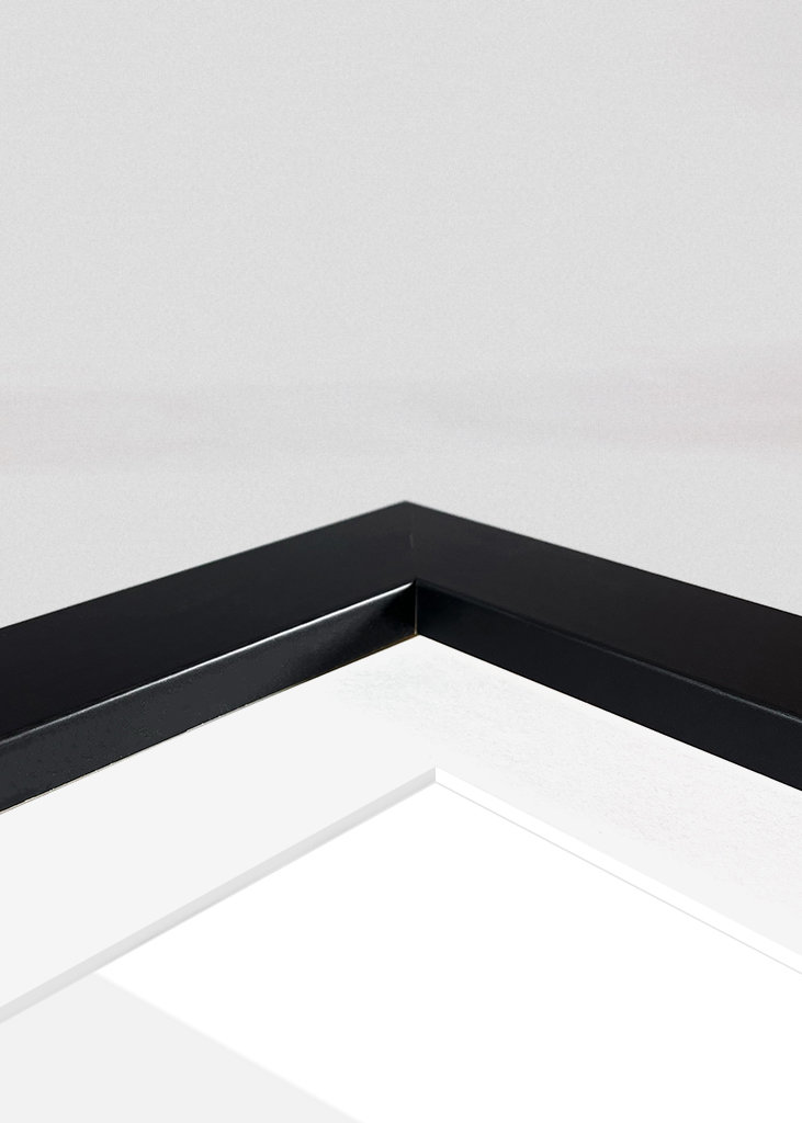 Michael Jordan Basketball