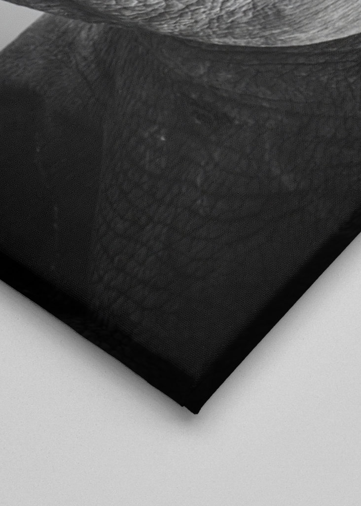 Guardian of the Savannah