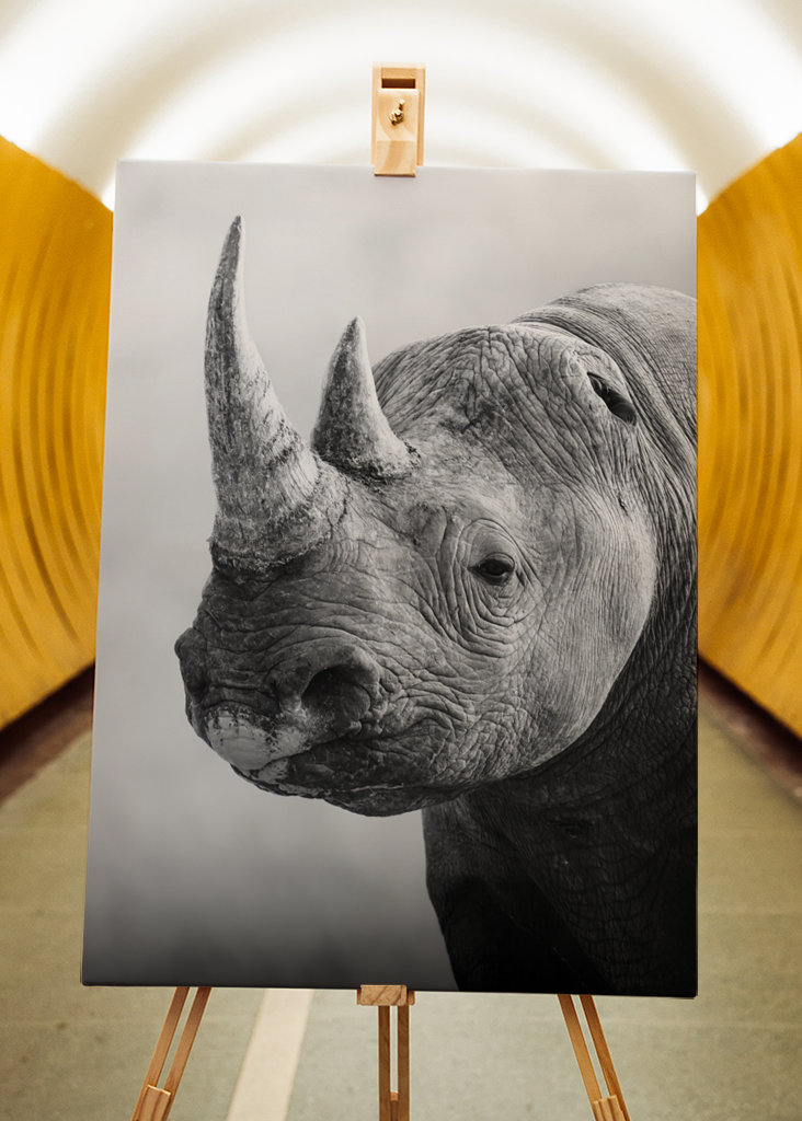 Guardian of the Savannah