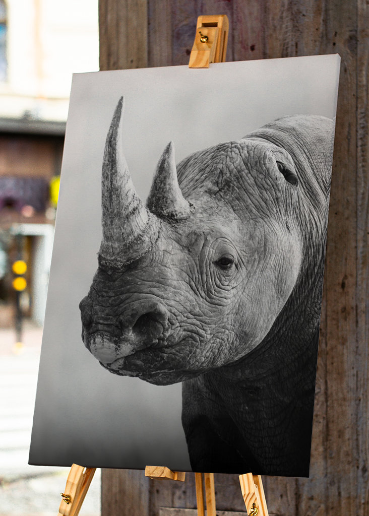 Guardian of the Savannah