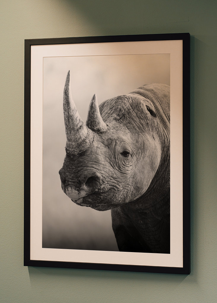 Guardian of the Savannah