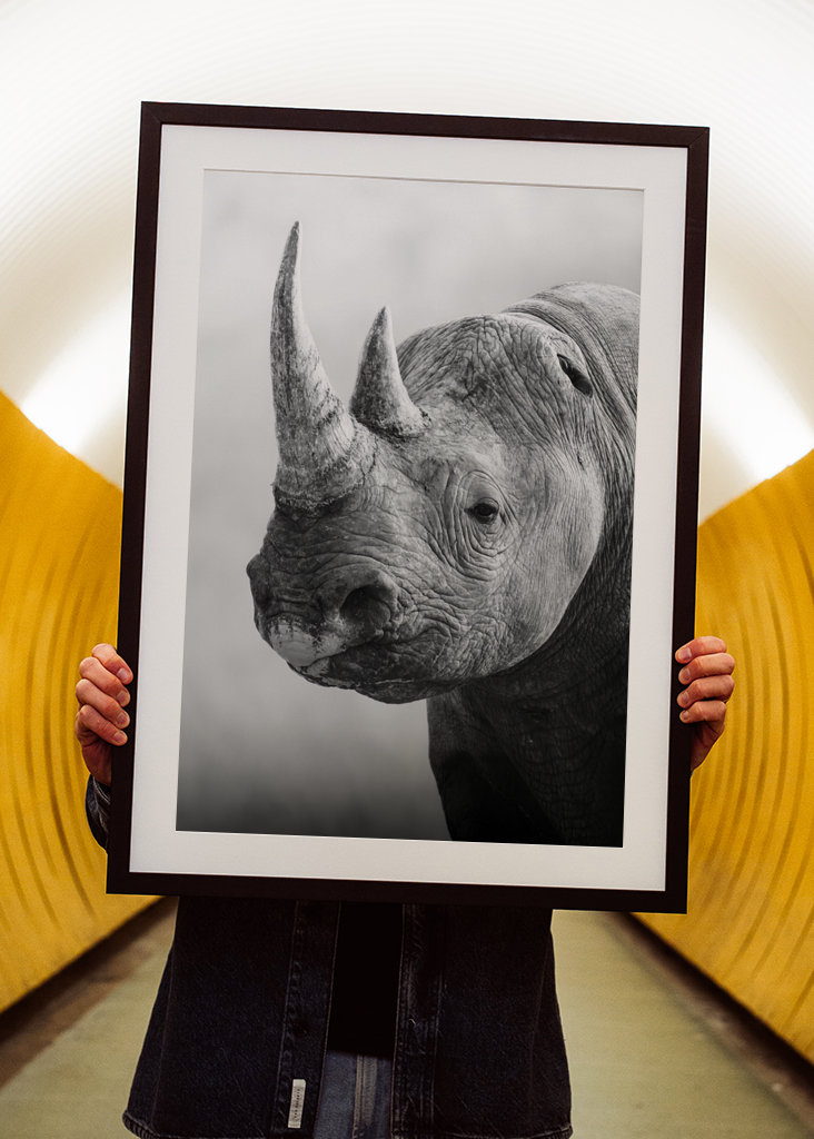 Guardian of the Savannah