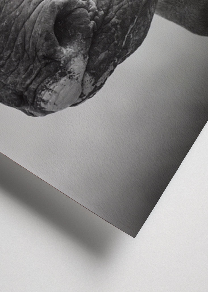 Guardian of the Savannah