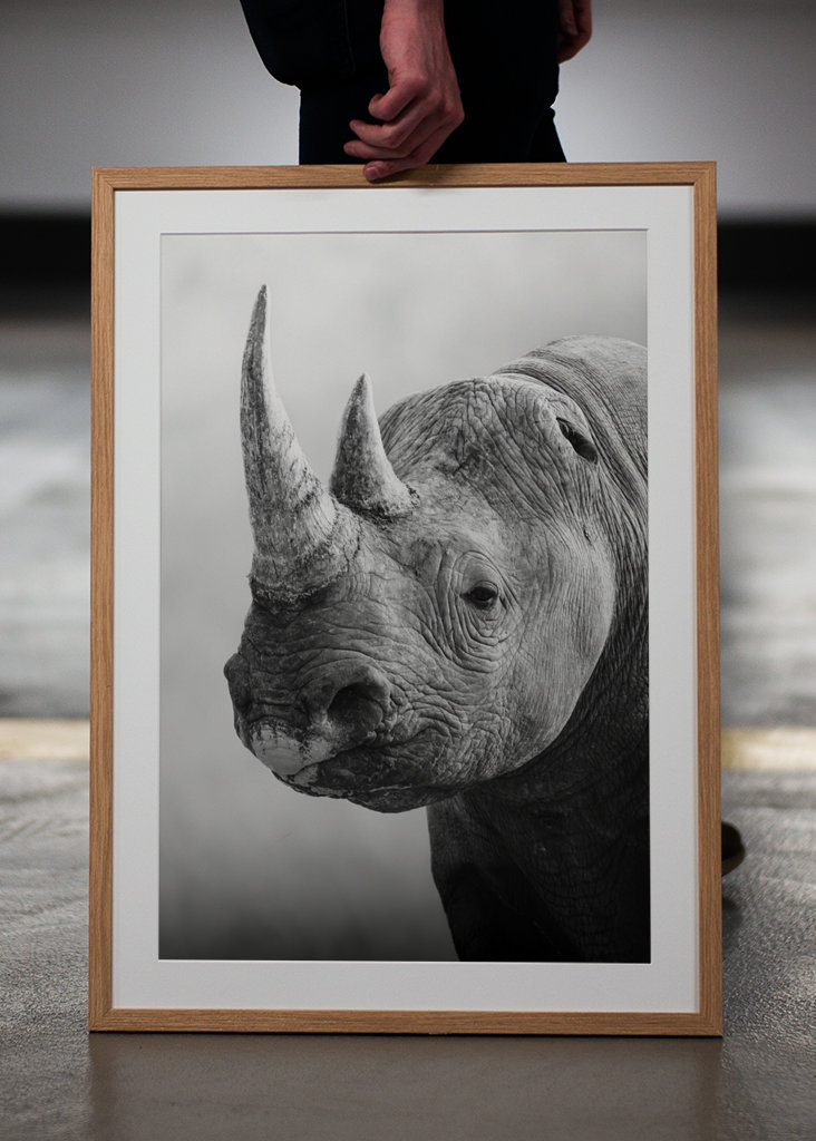 Guardian of the Savannah