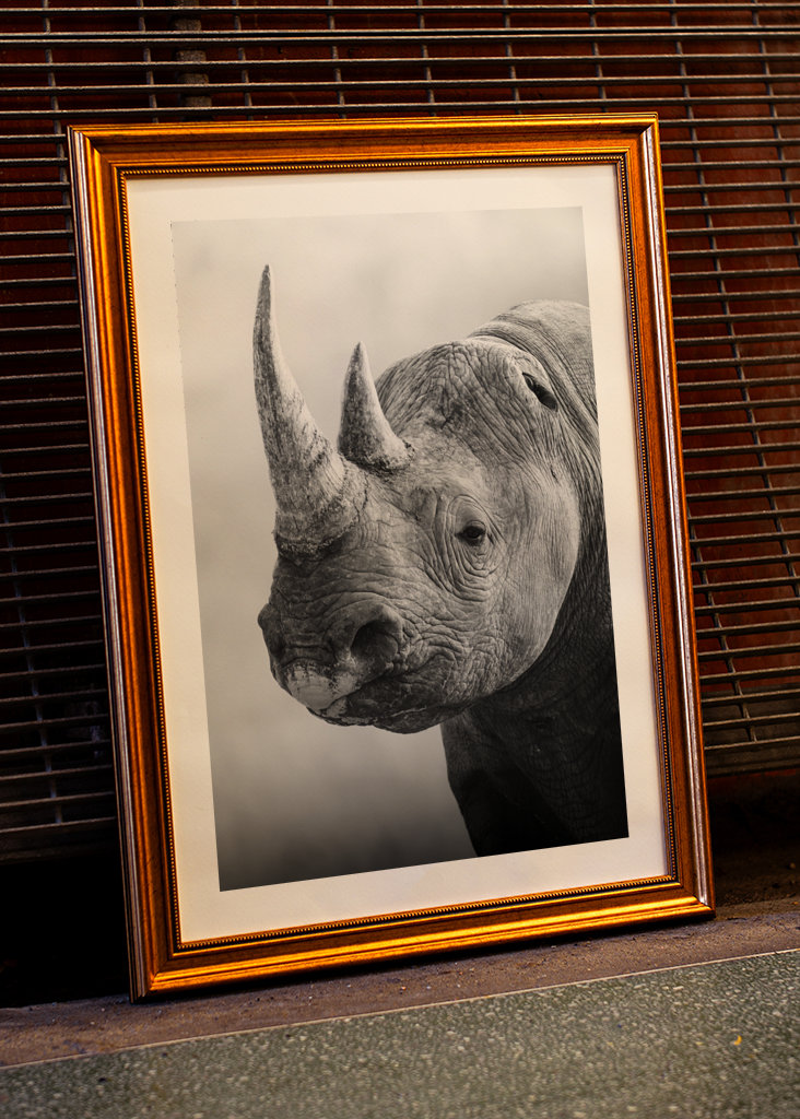 Guardian of the Savannah