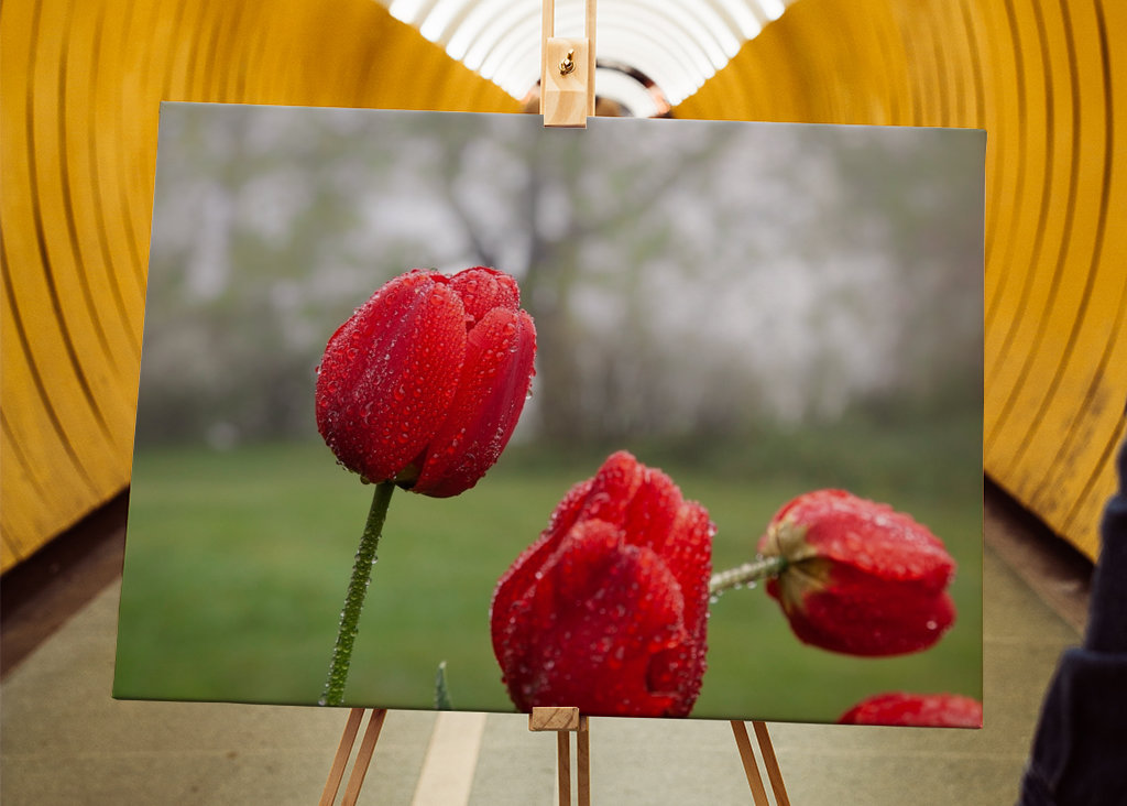 Blomster og vanddråber