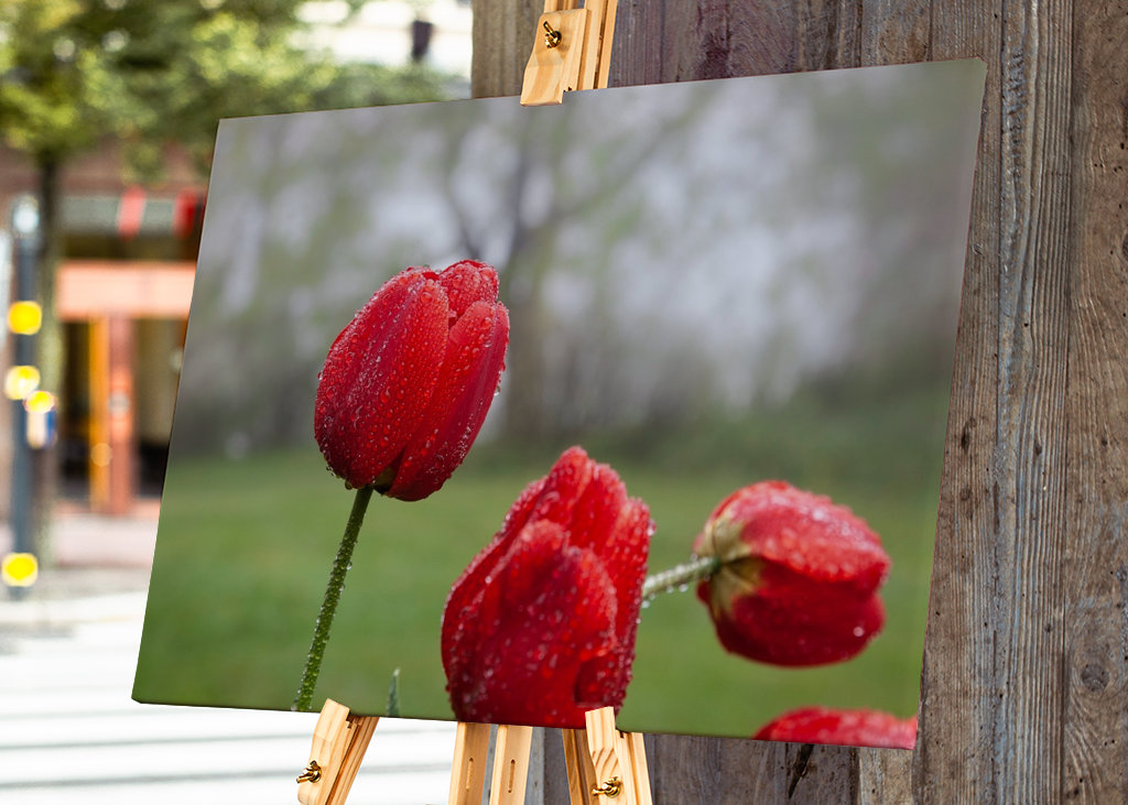 Blomster og vanddråber