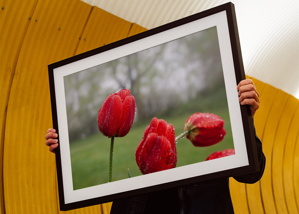 Blomster og vanddråber