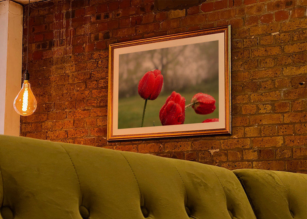 Blomster og vanddråber