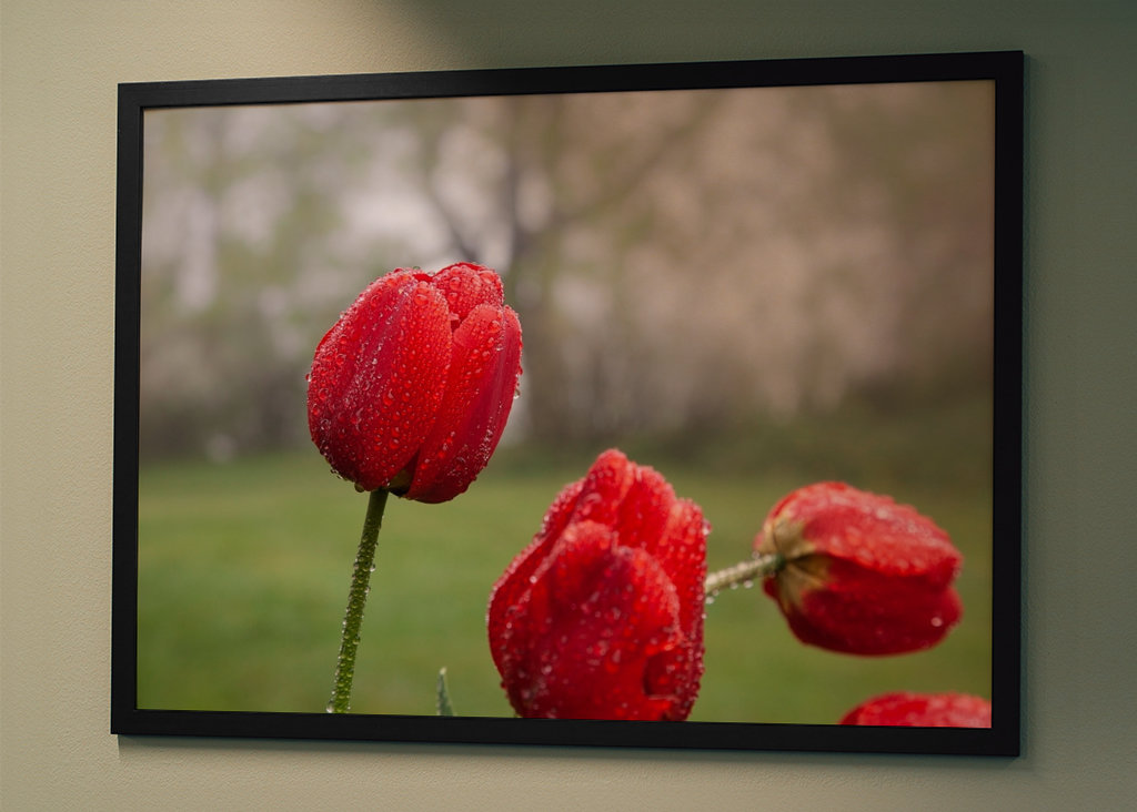 Blomster og vanddråber