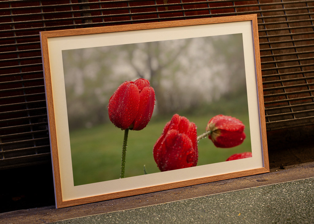Blomster og vanddråber