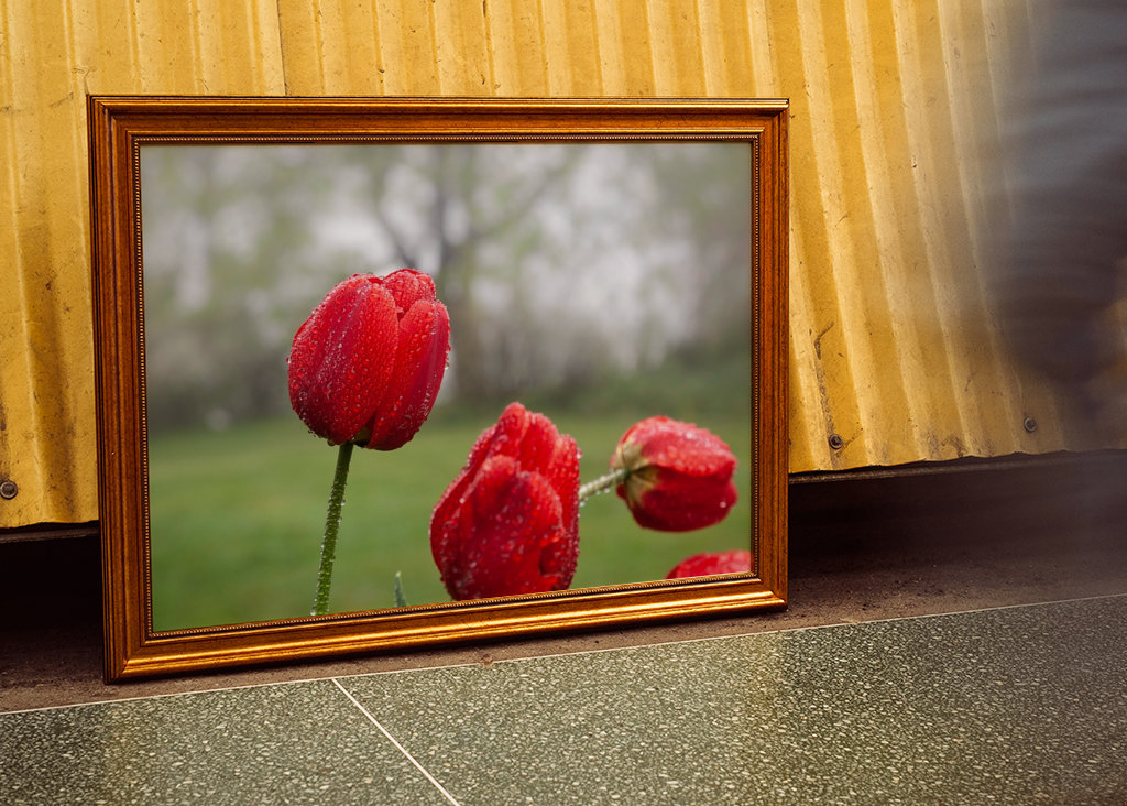 Blomster og vanddråber